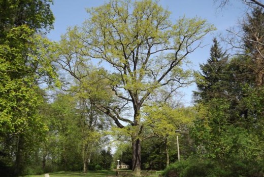 Eberswalde Info Barnim De R Auszeit Vor Der Haustur